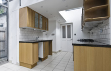Blacktop kitchen extension leads